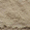 FGV176TL