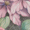 桃紅組磚-36片