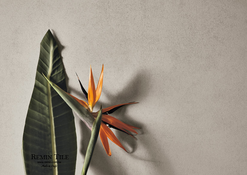 觸動 清水模磚 岩面悸動灰 60*120*0.9cm 灰色 商空壁磚 商空地磚 工業風 侘寂風