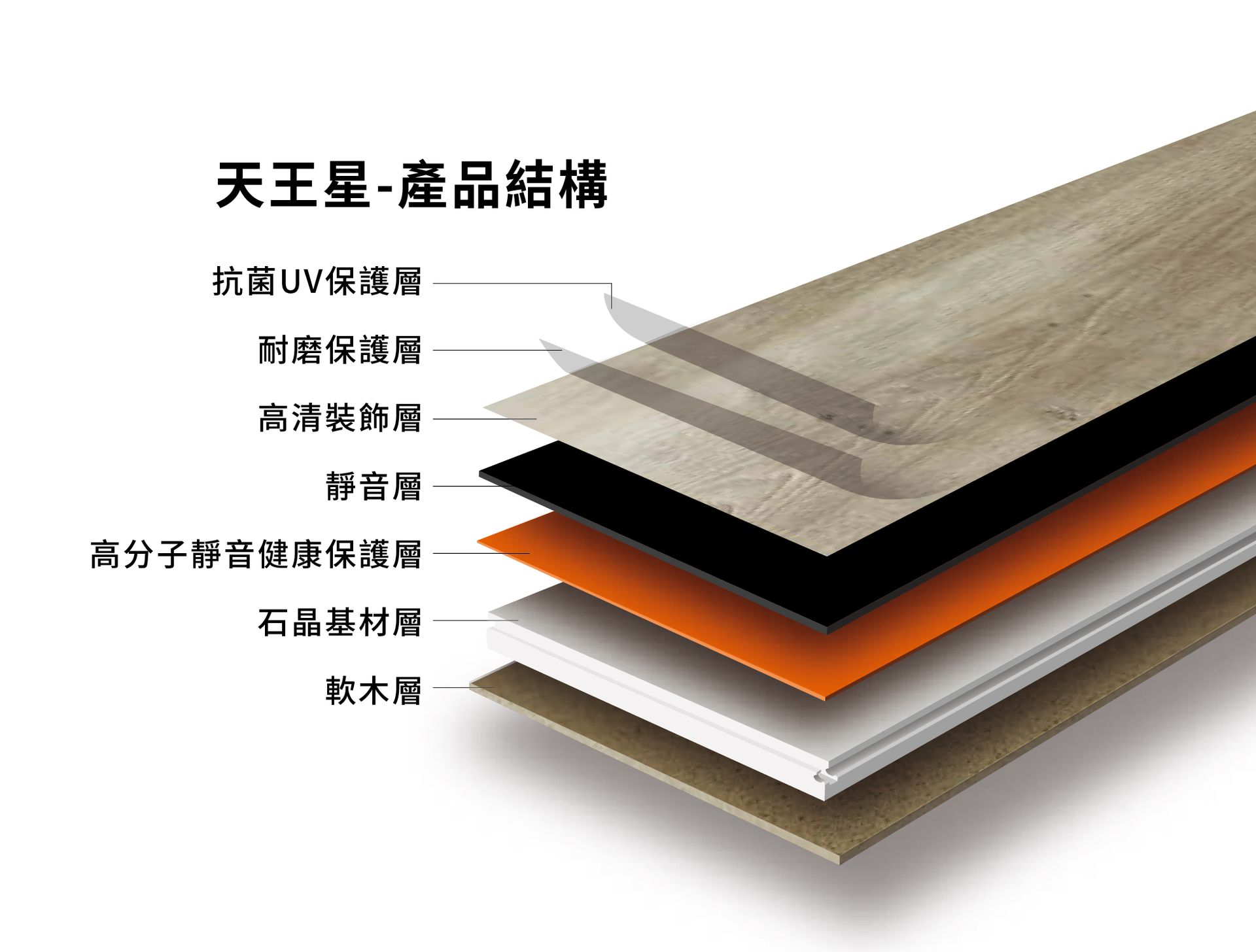 樂邁 Lamett 曼陀林 商品圖 3