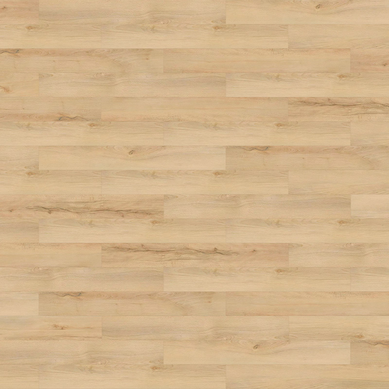 樂邁 Lamett 德國山毛櫸 商品圖 1